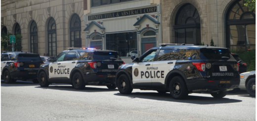 buffalo police cars parked on a city street