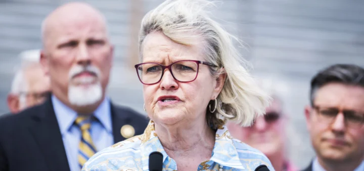 Cleta Mitchell, chair of the Election Integrity Network, speaks during a news conference at the House steps of the U.S. Capitol on May 8, 2024. Photo: Tom Williams/CQ Roll Call via AP