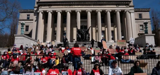 The great collapse of US higher education has begun